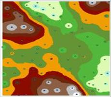 ArcGIS教程：了解插值分析