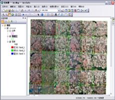 ArcGIS教程：对镶嵌数据集进行色彩平衡