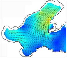 ArcGIS教程：制作风或水流速流向图