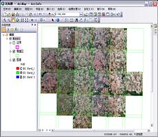 ArcGIS 栅格数据教程：对镶嵌数据集进行色彩平衡