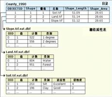 ArcGIS教程：栅格数据集属性表