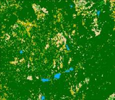 ArcGIS教程：基于ArcGIS的栅格图像平滑处理